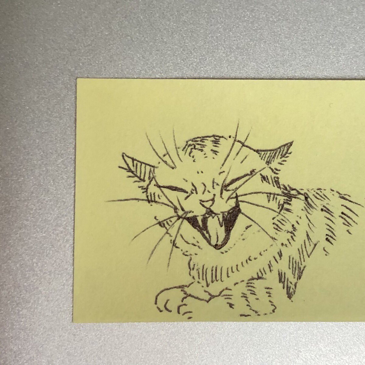 付箋に描いたうちの猫のあくび
猫破顔(にゃはがお)と呼んでいる 