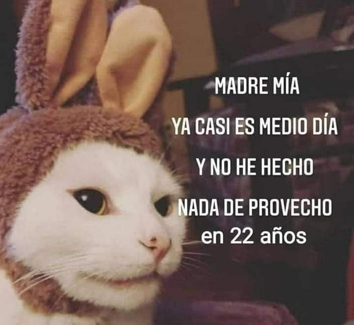 ErigolDelViento's tweet photo. https://t.co/50uQTCbiRc