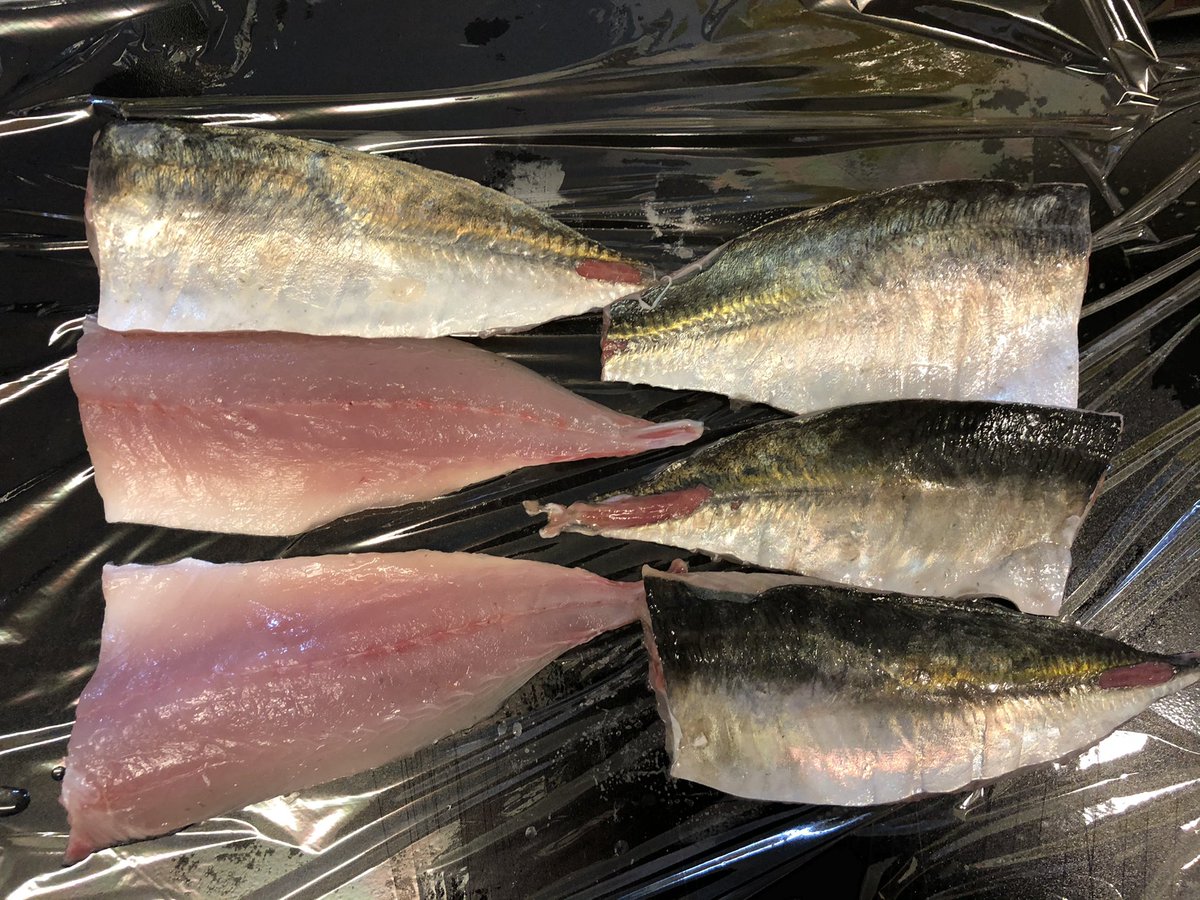 魚捌き Twitter Search