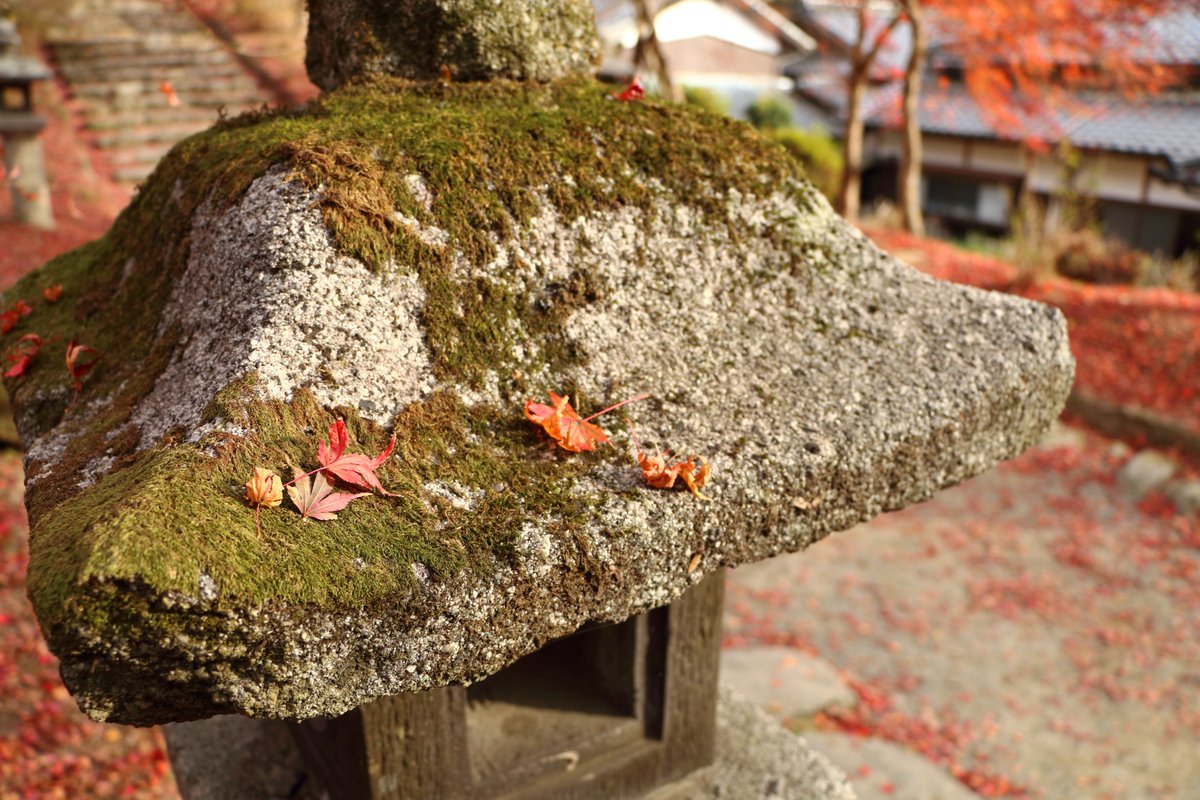 Yuppi Studio 写真部 秋月城跡の紅葉 福岡県朝倉市 12 秋月城跡 紅葉 福岡 朝倉市