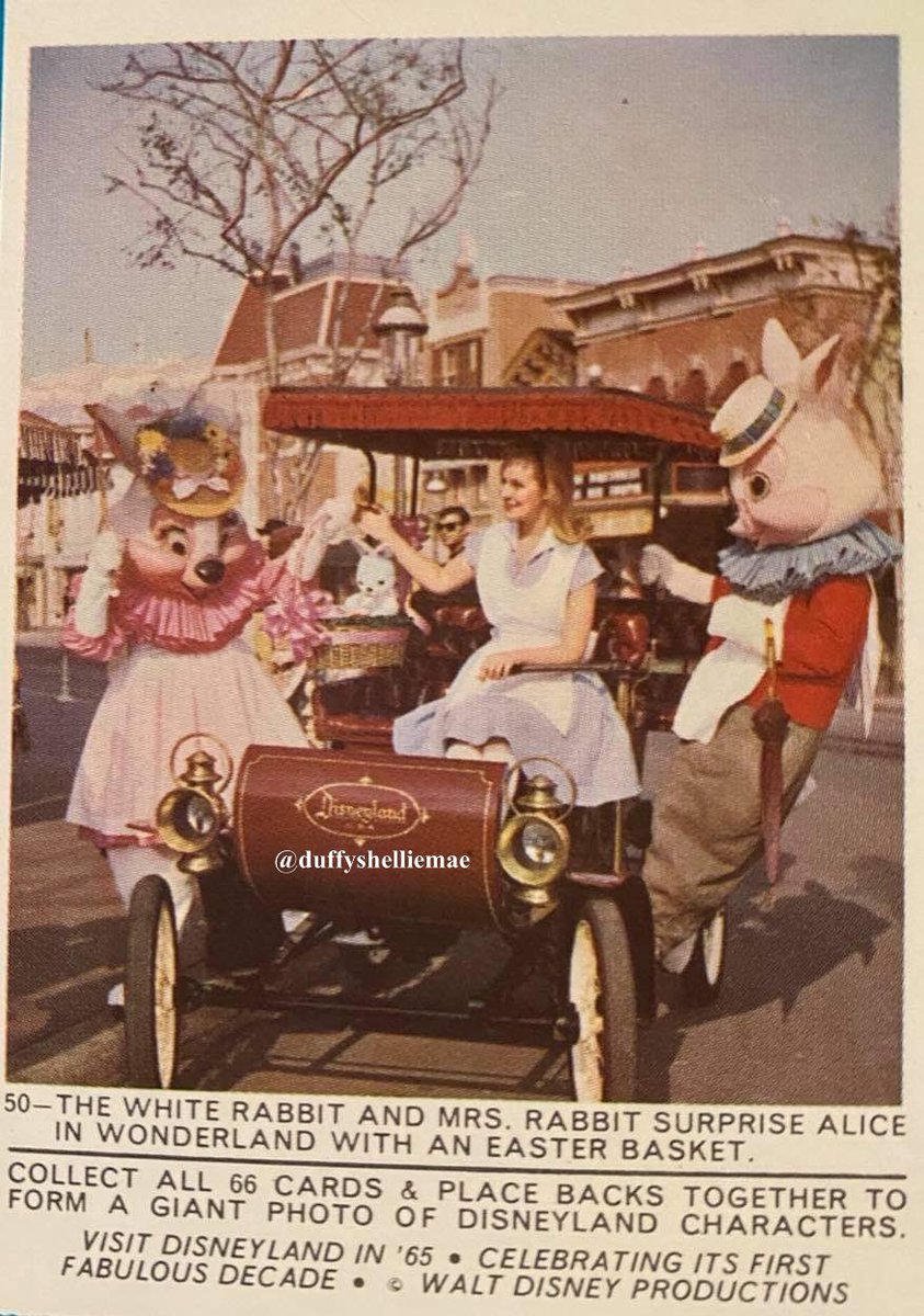 duffyshelliemae's tweet photo. Mind blown! ๐คฏ did you know #MrsEasterBunny was once known as #MrsRabbit ? Or is this a #NewCharacter sighting?? #DisneyCharacter #MyTradingCardCollection ๐๐#DisneyTradingCards #DisneyEaster #EasterSunday #Easter2021ย #Easterย #AliceInWonderland #WhiteRabbit #EasterBasket https://t.co/p0iPHUSuzc