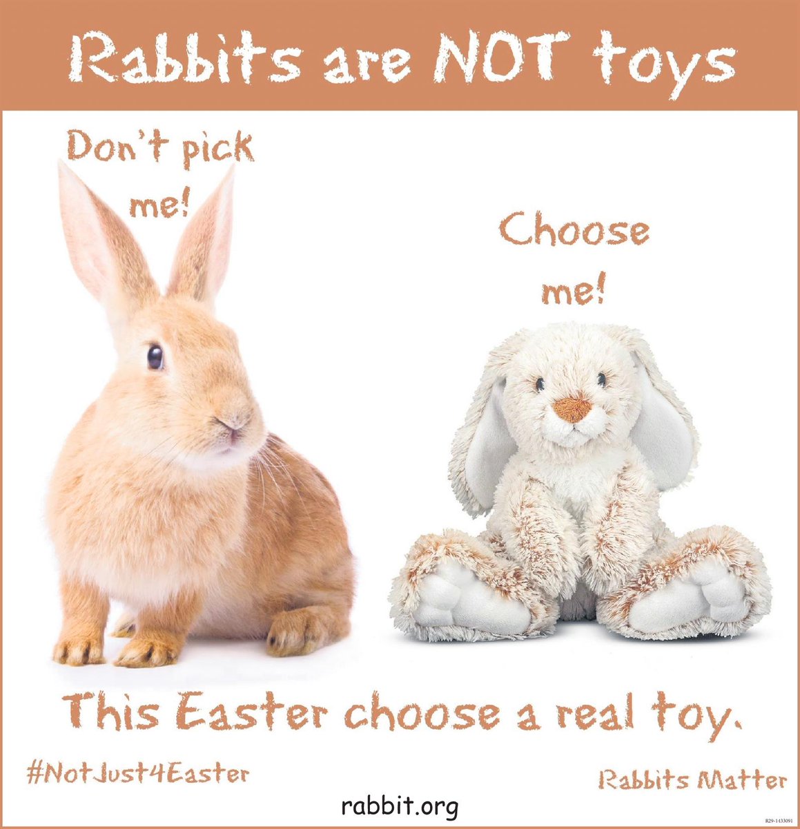 KittenAtheDisco's tweet image. #HappyEaster to all who celebrate. I hope everyone has an awesome day! And remember, bunnies are NOT presents! @HouseRabbit @RabbitAdvocates @RabbitNetwork
#Rabbits #NotAToy #rabbit
 #BunniesAreNotPresents
#commitment #pets  #NotJust4Easter #Easter #EasterBunny #EasterBasket