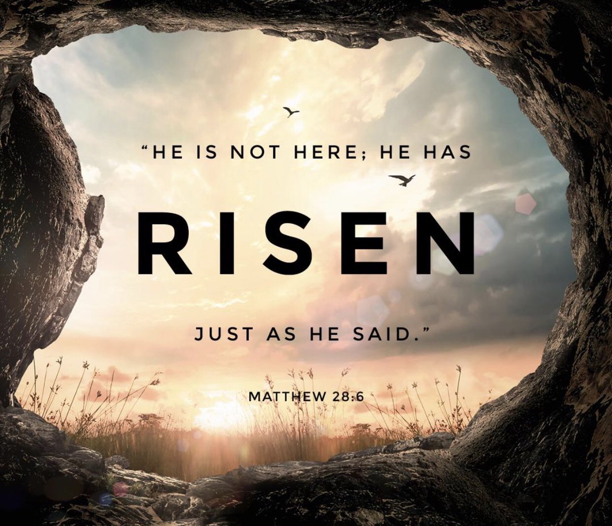 NASHionalchamp's tweet photo. Happy Easter! He has risen! https://t.co/wL6D18YE7x