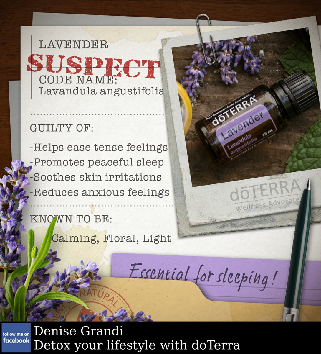 dggrandi's tweet photo. #Stress and #sleep no longer an issue? It must be the work of Lavender essential oil! https://t.co/CxEp4kW1RH