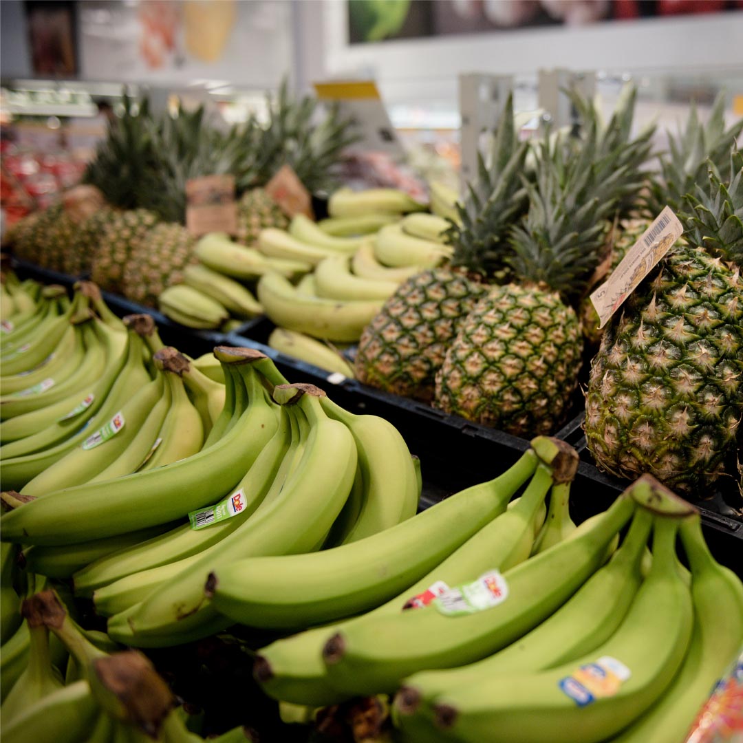 Mayrand entrepôt d'alimentation tweet media