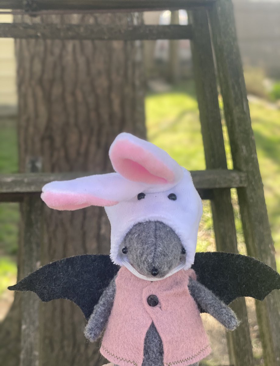 BatsCherry's tweet photo. 💖🦇🍬HAPPY EASTER🍬🦇💖
.
Heres some #bunny bats for you! 
.
#bats #bat #Easter https://t.co/wYhMWZn9Sr