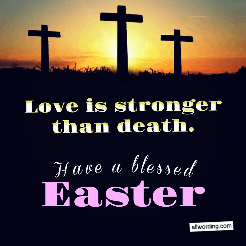 Simie (@simie53576779) on Twitter photo 