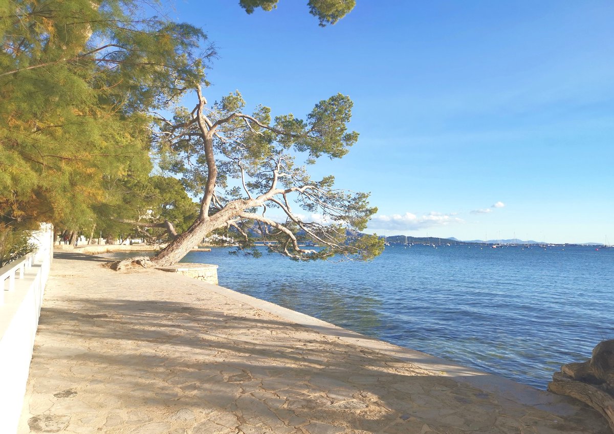 🐥🐰Felices Pascua 🐤🐇
💛 Happy Easter 💛

#chocolateiscaloriefreetoday #eastersunday #portdepollença