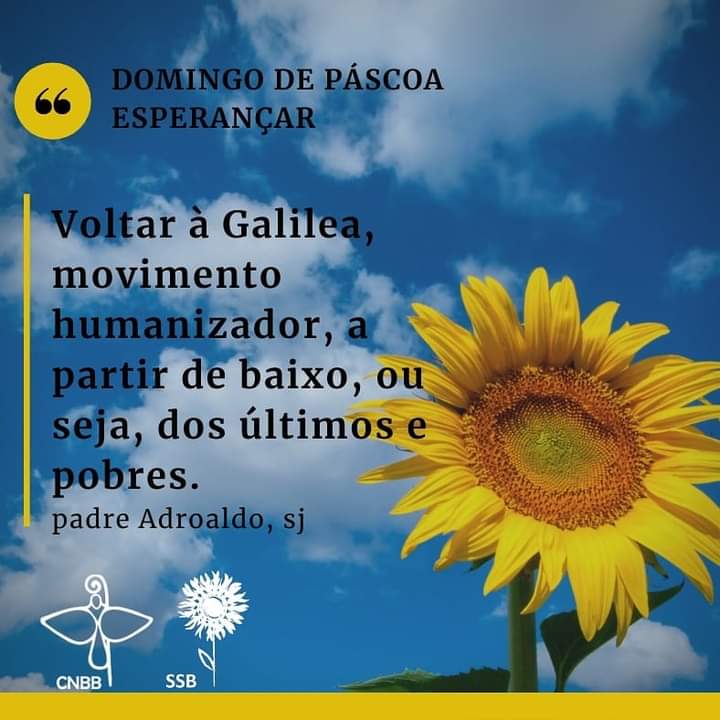 psauderio's tweet photo. [Domingo de Páscoa]

Sigamos esperançando nesta Páscoa, em cada dia de nossa vida, em meio à dor dessa pandemia.

#MutirãoPelaVida
#PorTerraTetoTrabalho
#Igreja
#Fé
#Páscoa
#ArqRio

https://t.co/ev6VTA7kv8 https://t.co/55SktAqxBt