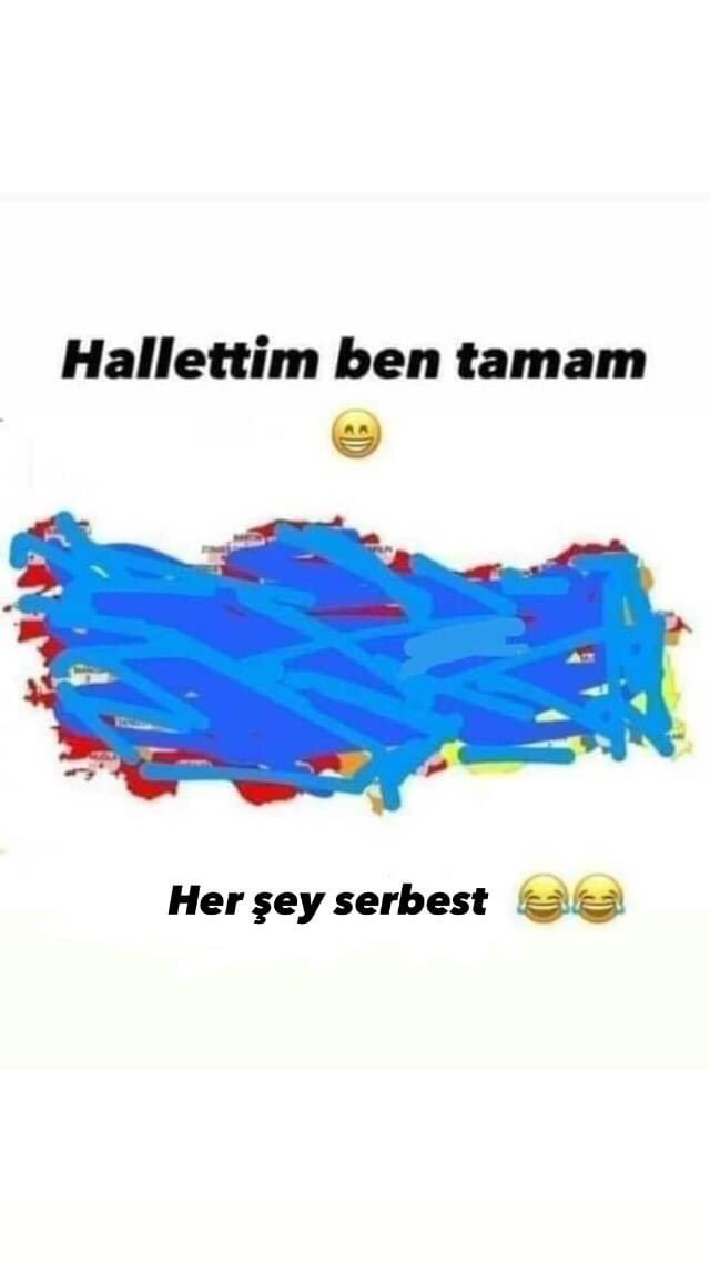 Morpho Kelebeği🦋 (@morpho_kelebe) on Twitter photo 