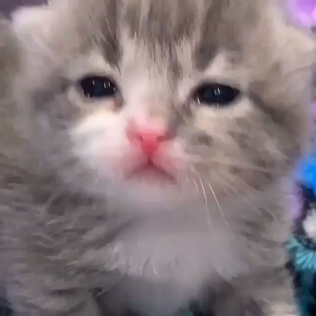 𝙉𝙤.𝟗 tweet media
