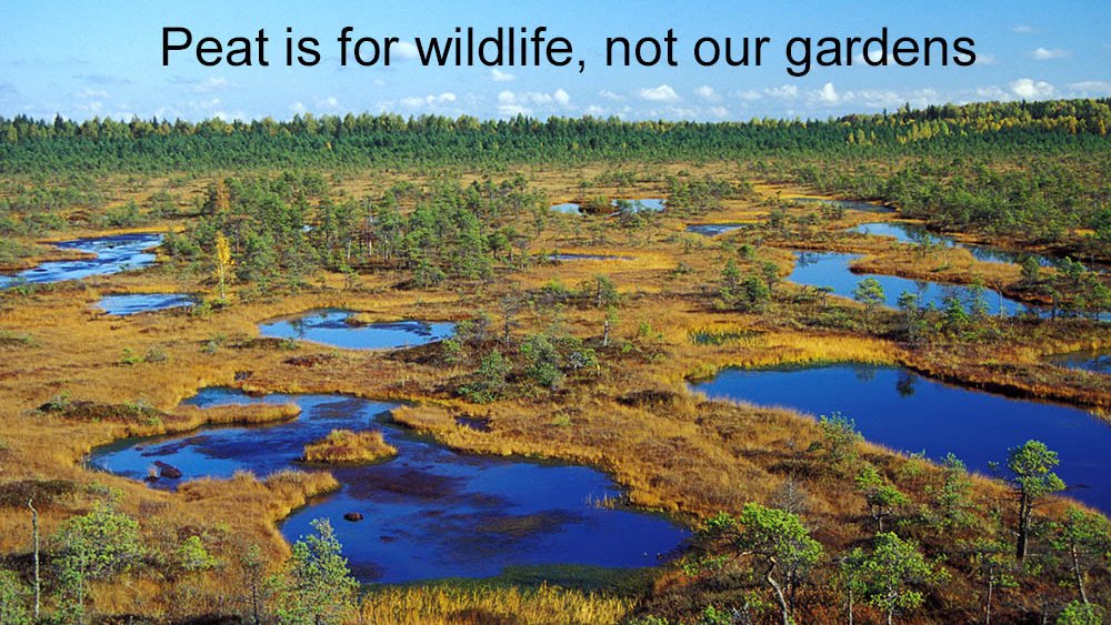 PeatFreeApril's tweet photo. If we're to protect our #peatlands and #PeatBogs, we need your help to sign &amp; then share this petition to ban the use of #peat in #horticulture: https://t.co/bhAYhgooPz

#Gardening #Environment #Nature #NatureLovers #ClimateCrisis #ClimateAction #GYO #Wildlife #BeKind #Gardeners https://t.co/OTlj3m1lmt