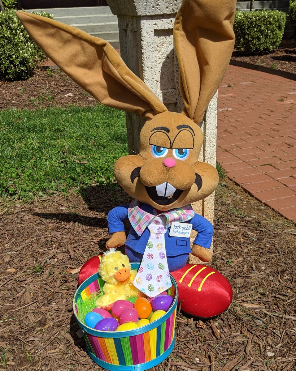 rmhclt's tweet image. Looks like some bunny hopped outside this morning for a little Easter egg hunt! Zippy from @JackrabbitTech usually hangs out in our lobby, but since he was dressed in his Easter best we guess he wanted all of Morehead Street to see his new tie. #JackrabbitTech #HoppyEaster 🐣👔🐰