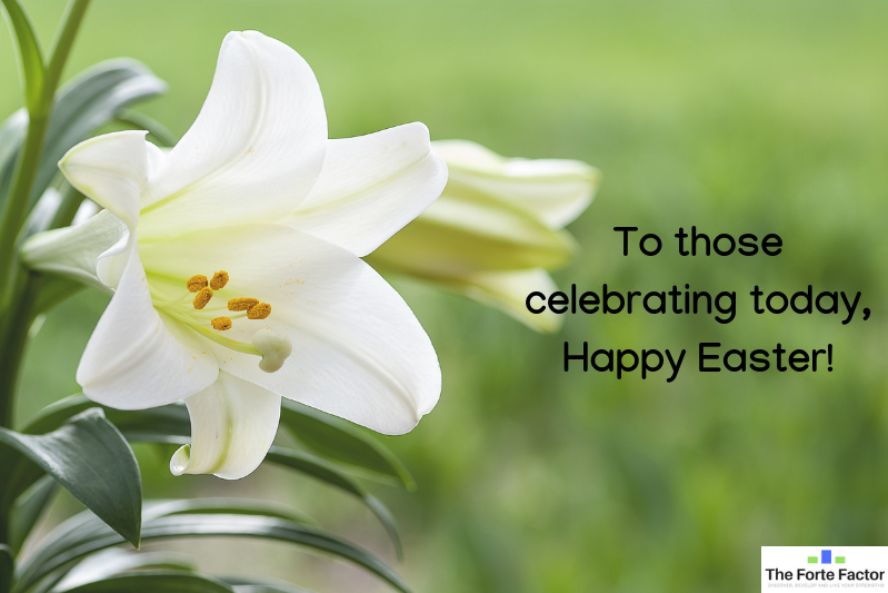 TheForteFactor's tweet photo. To those who celebrate, Happy Easter. 
🐰🐣 https://t.co/dRncgCk6Wc