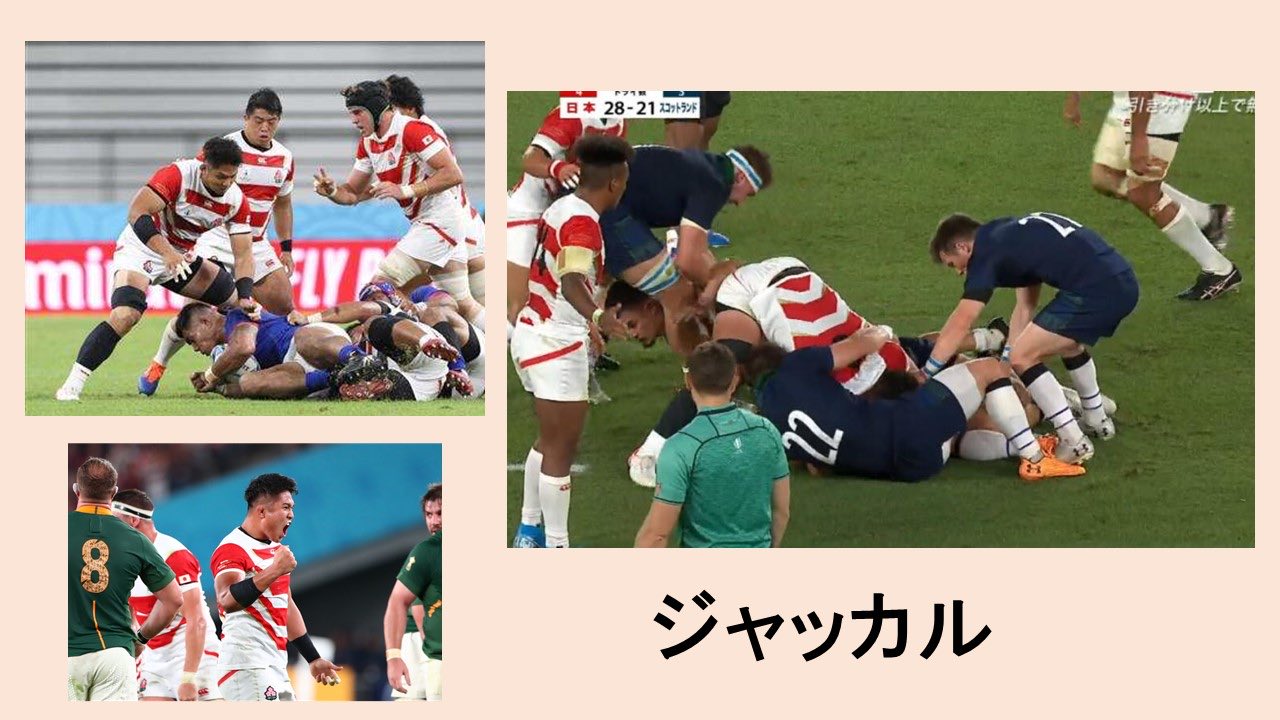 تويتر 横浜市立大学医学部ラグビー部 على تويتر ルール紹介 ジャッカル W杯で一躍人気になった 姫野のジャッカル 倒れた相手のボールを奪うプレー 倒れた人はボールを放さないといけませんが奪われまいと放さないと ノットリリースザボール 言葉の