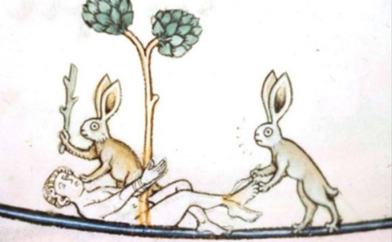 ddoniolvalcroze's tweet photo. Killer rabbits in Medieval Manuscripts https://t.co/2V6Az5E1yO