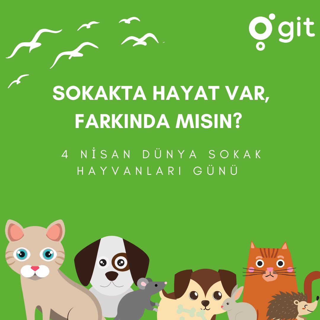 Onları fark edelim, desteğimizi eksik etmeyelim🐾 Sokakta Hayat Var! #4nisandünyasokakhayvanlarıgünü #gitkargo #yeninesilkargo #hayvansevgisi #hayvanhakları  #onlardacan #iyikivarlar #sokakhayvanları