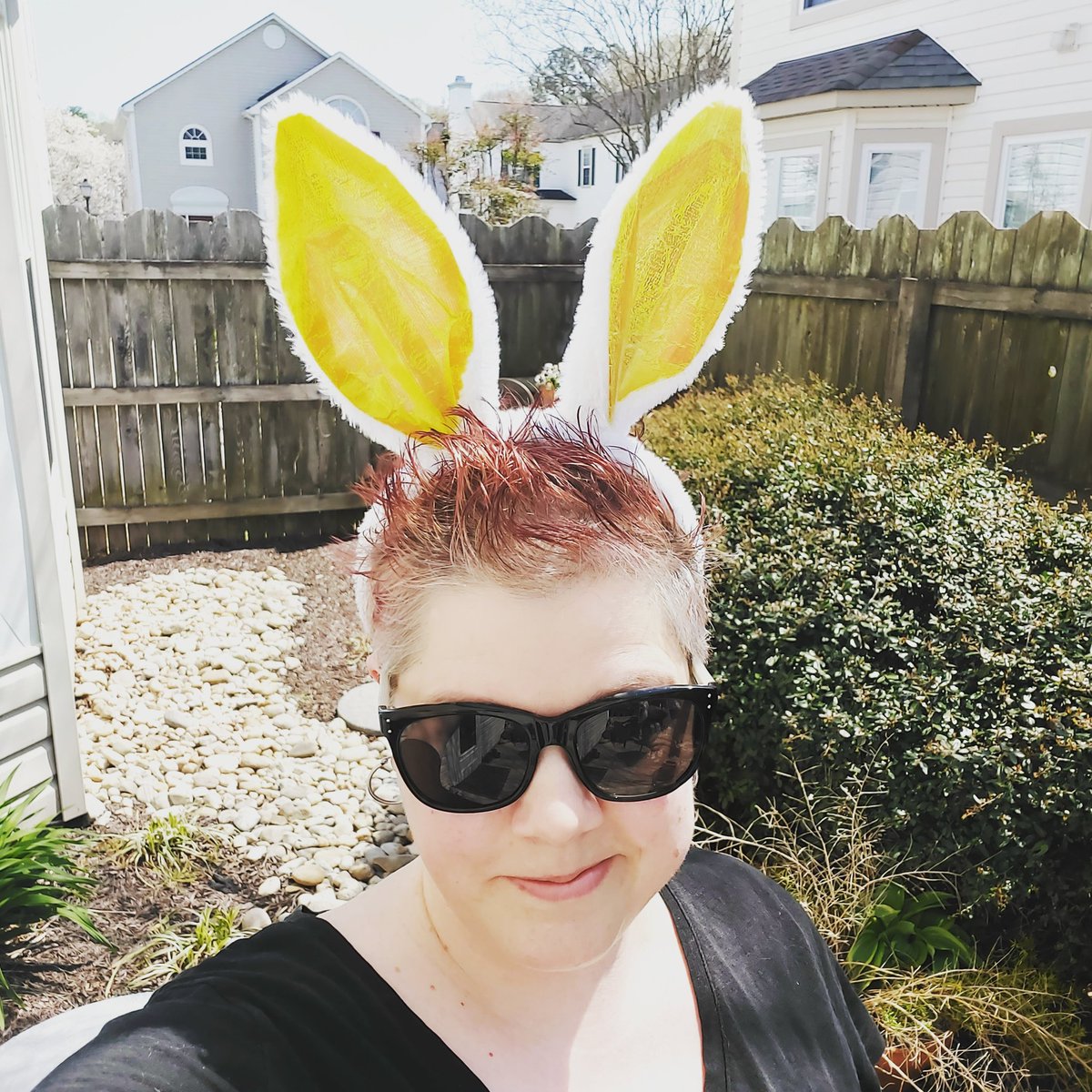 amyameliakm's tweet photo. Week Lucky 13 π° @David_Frederick
#silly rabbit
.
.
.
#hair #growit #hairjourney #newyearnewhair #shorthairdontcare #bleachedhairdontcare #challengemyself #adventuresofamy #klunatics #aaaandposted https://t.co/Zpi1r00V1B