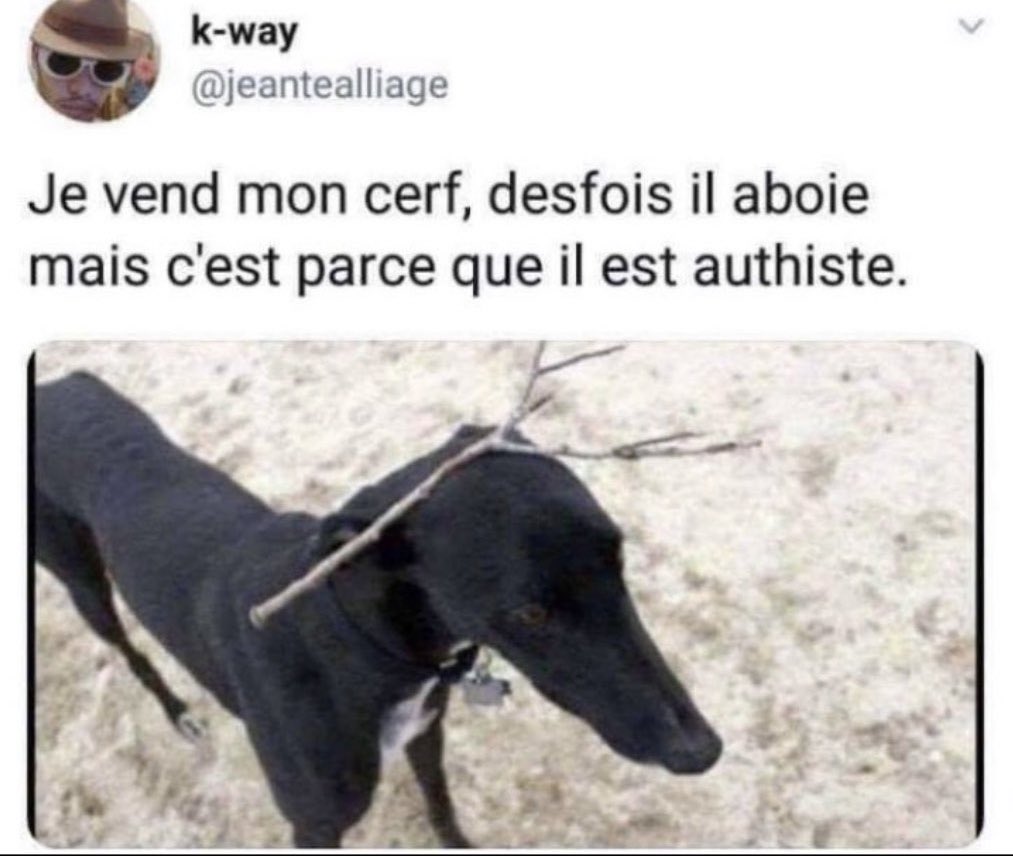 Ce genre de tweet c’est trop efficace sur moi je rigole à chaque fois