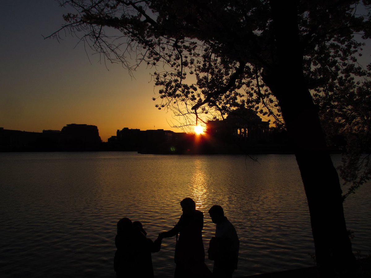 thedashstory's tweet photo. Some #cherryblossom shots @washingtondc 🌸😎
@Giselleinmotion @CharlesMcCool @Touchse @perthtravelers
#Top4Theme #Top4Outside #travel #travelvlog #cherryblossomdc #cherryblossomfestival #sunrise #sunrisephotography #sonyalpha #sonya7ii #photographer #pandemictravel https://t.co/tVBO5W2oyh
