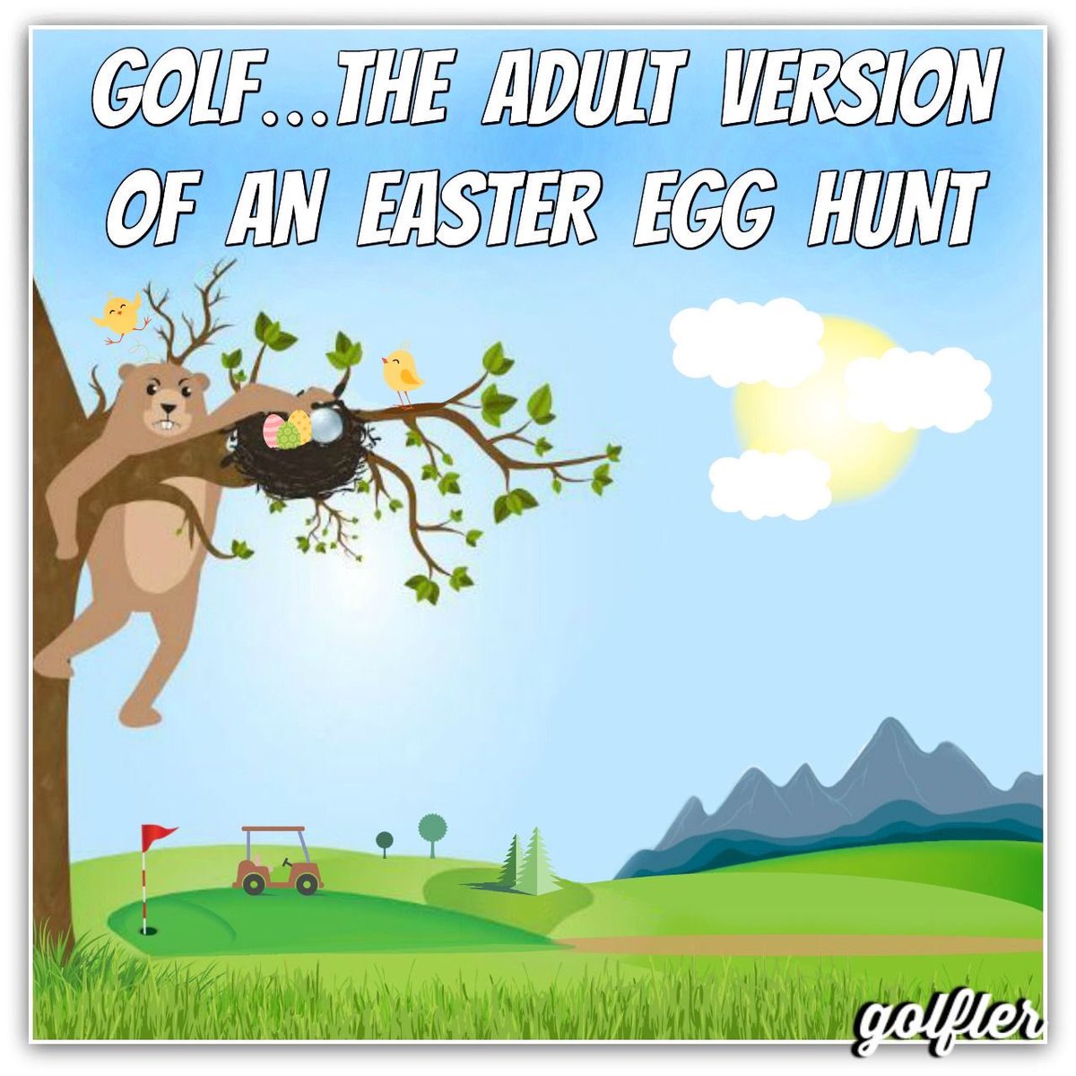 North Davidson Golf tweet media