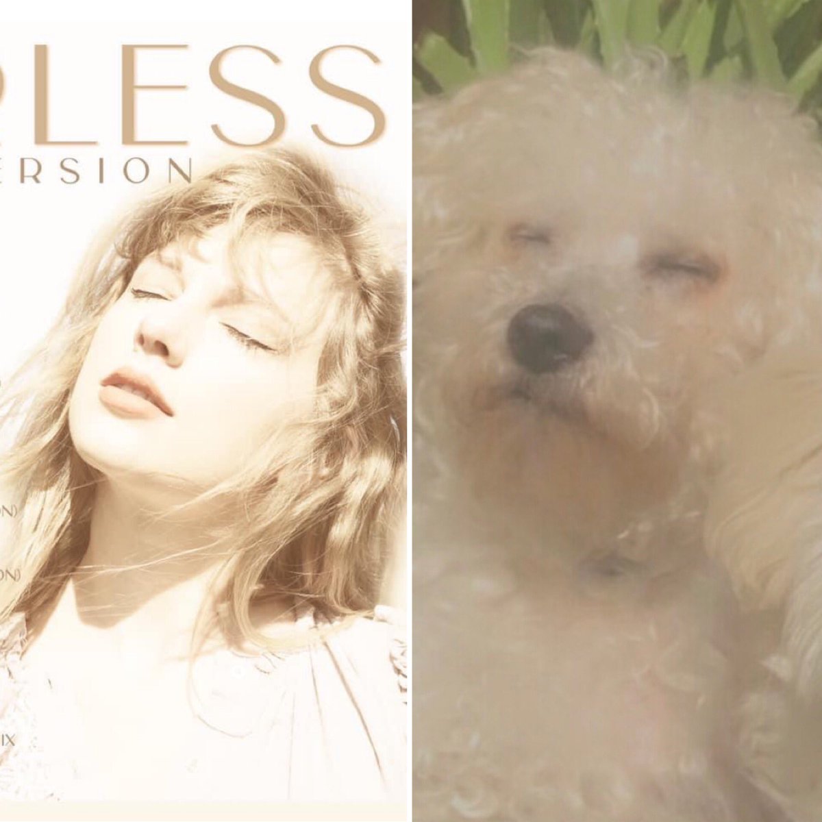 Tokys84's tweet photo. Fearless Souls ❤️#FearlessTaylorsVersion @taylorswift13 @taylornation13 https://t.co/Y0jYWdS9Ut