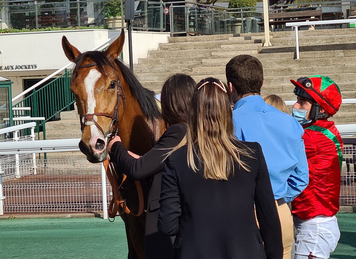 seenthestars's tweet photo. @rpbloodstock If Queen Du Berlais was bred to win a Grand Steeple-Chase de Paris then a Guineas was probably the aim with Gestut Ammerland's #GreyFalcon, a son of Moulin winner Grey Lilas and a half to Golden Lilac. 4 timer @Hippo_Auteuil for @davidcottin, double for Gleneagles https://t.co/pe9uUImXFM