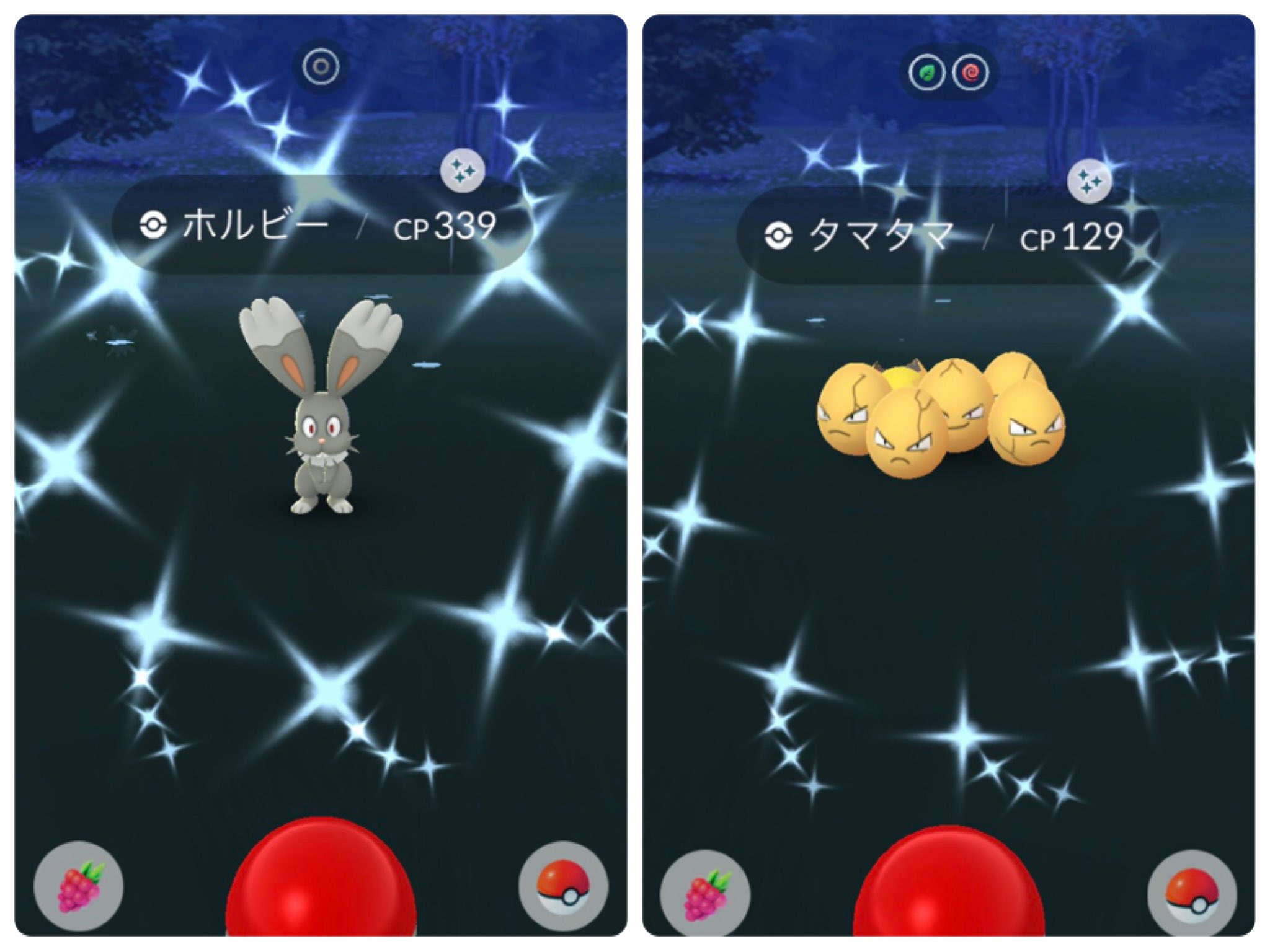 Shiny Warrior Go Twitter