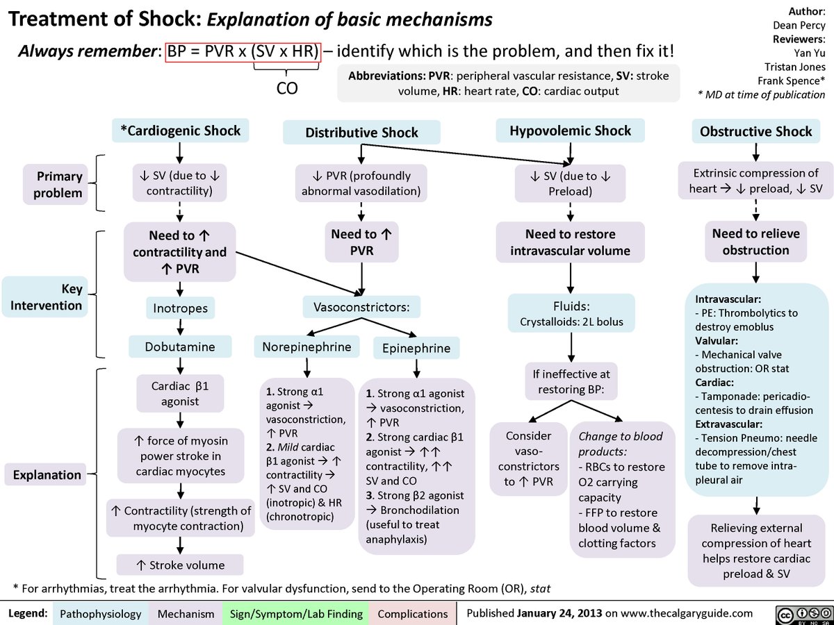 Treatment of Shock - Explanation of Basic Mechanisms
#meded #foamed #medtwitter #medicine
