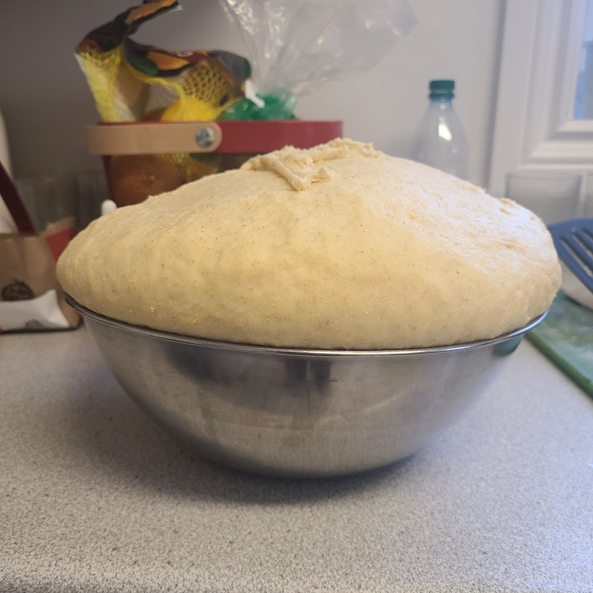 Do you think my dough has risen enough?? #easterpaska #easterpaskabread #paska #paskabread #dough #paskasofinstagram #thereluctanthomemaker