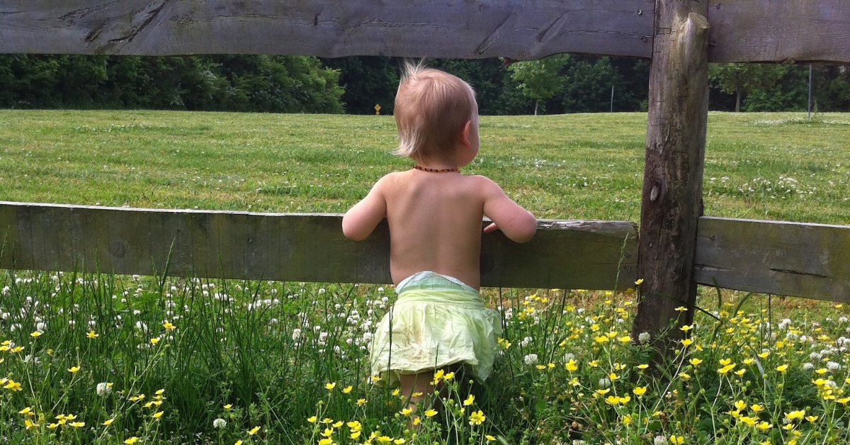 I love new beginnings. Whether it’s watching a baby reach out for a butterfly for the first time or starting the manuscript for a new book – I love the thrill of new possibilities. Feeling discouraged? Miserable in your job? Just lost your business? Give yourself a new beginning.