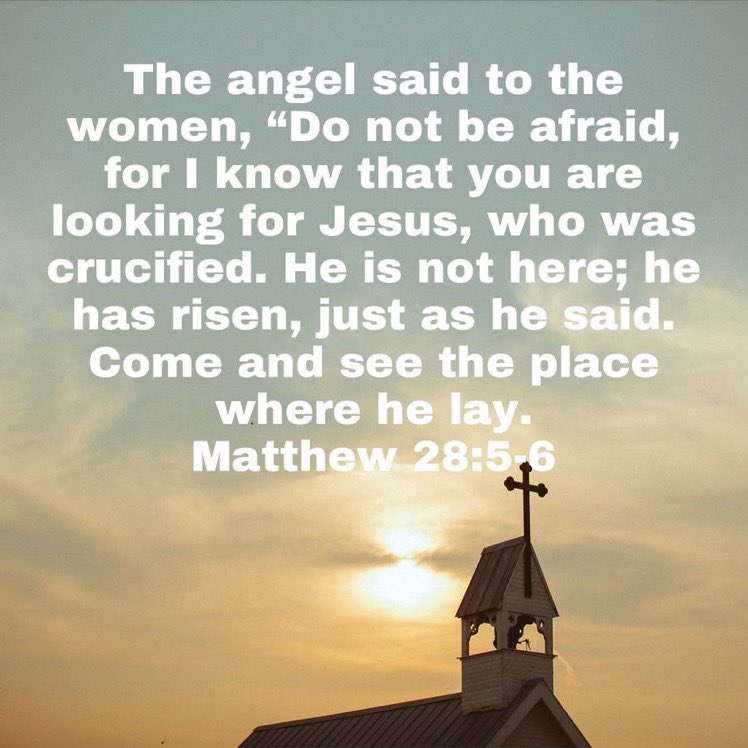 coop9mm's tweet photo. He is risen! https://t.co/V5ZJNsC5HL