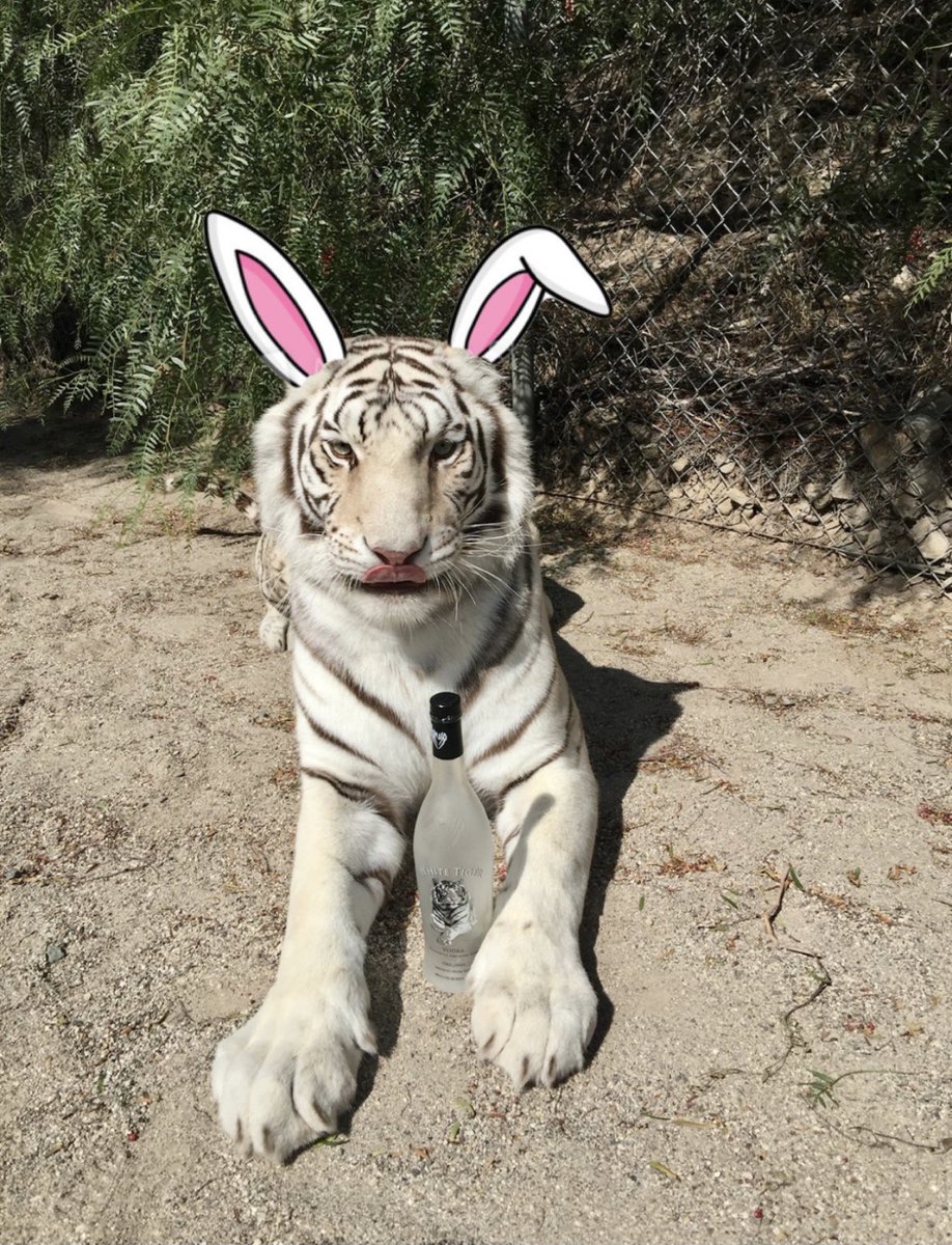 Hop over to your closest grocery store to find the best egg of them all, White Tiger Vodka! Happy Easter!