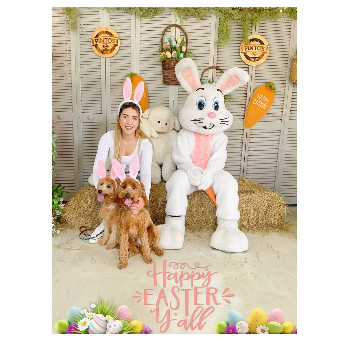 🌸Happy Easter from us to you🌼
#Easter2021