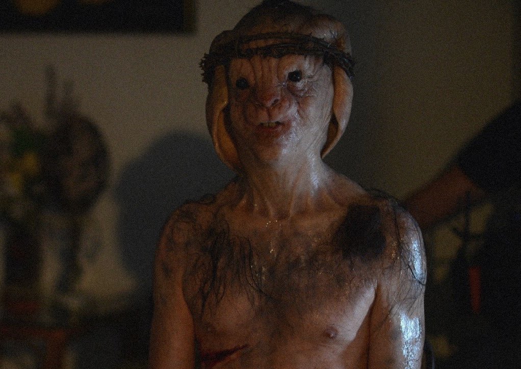 Danii Horror tweet media