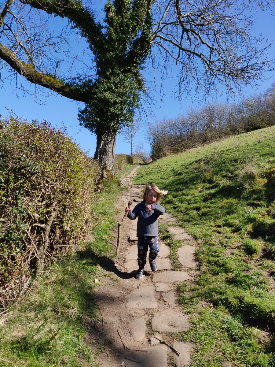 Go to Bluesky, this place is shit tweet media