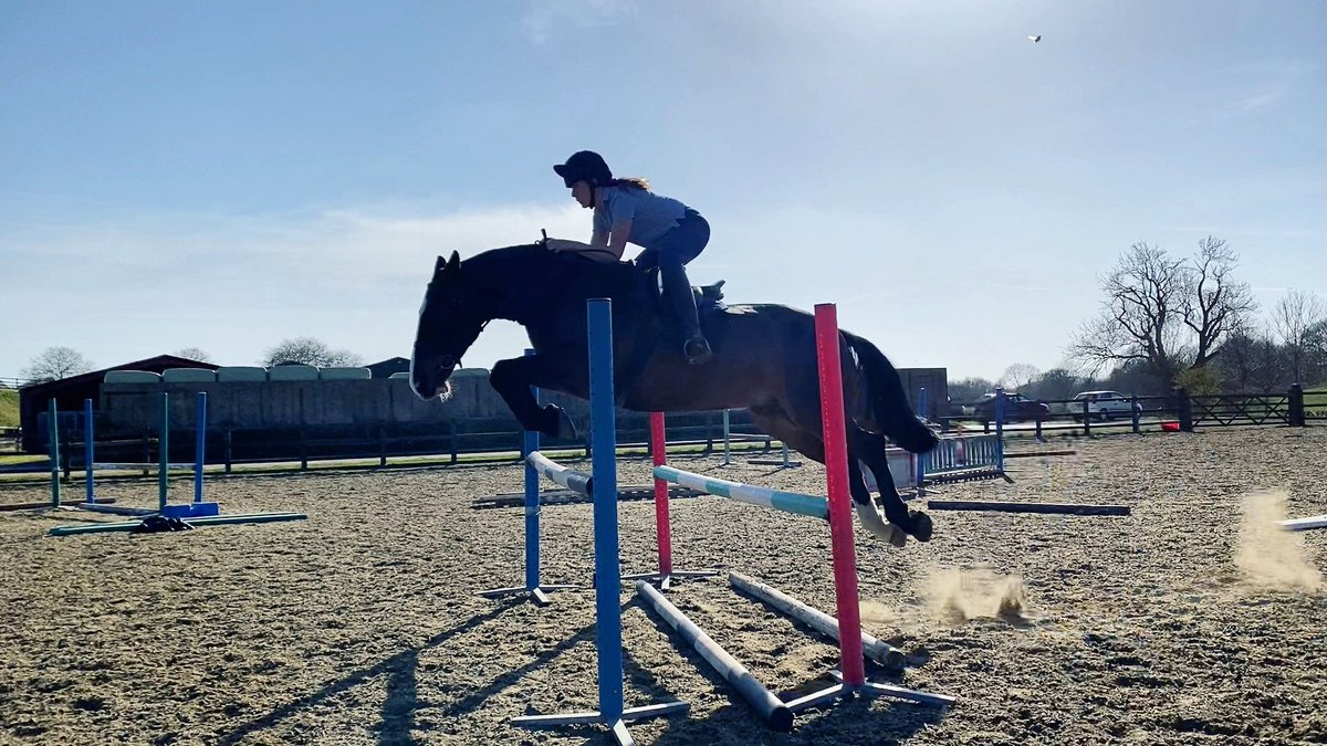 V_Binnie_Ryle's tweet photo. ๏ฟฝ๏ฟฝ๏ฟฝ๐ผโโ๏ธ Completed the dream Easter Sunday triathlon. ๐ด๐ผ
5k run, 12 hilly miles on the bike & a lovely jump on King Bridie - who was by far the easiest leg of the homemade triathlon!!
#SteeringJob ๐ช๐ผ #HappyEaster https://t.co/GiB9zhEJsT