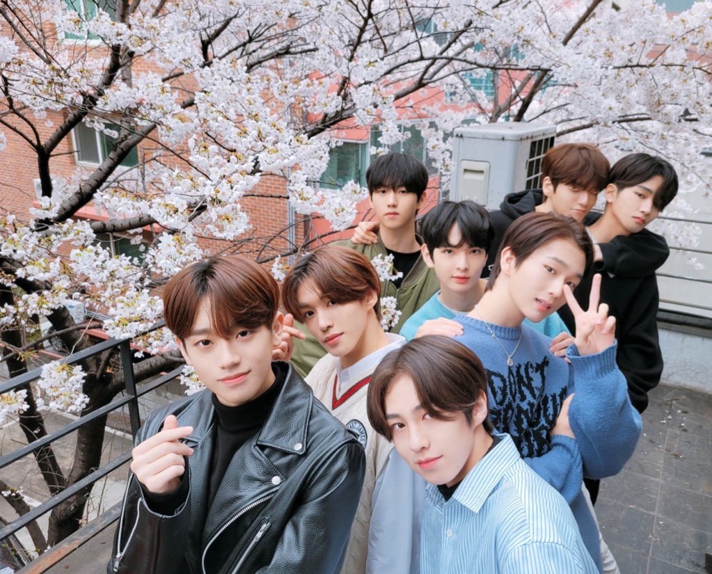˗ˏˋ 93/365 ♡ ˎˊ˗ ➣ a group of pretty flower boys <3