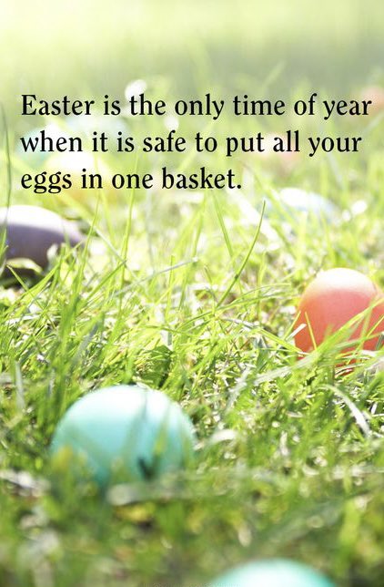 Screech Owl Brewing (@roger_r_j) on Twitter photo 