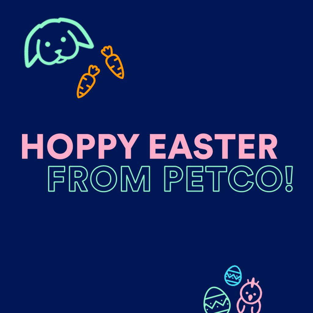 Petco's tweet photo. To all you peeps 🐣 https://t.co/MfnAyLMzzV