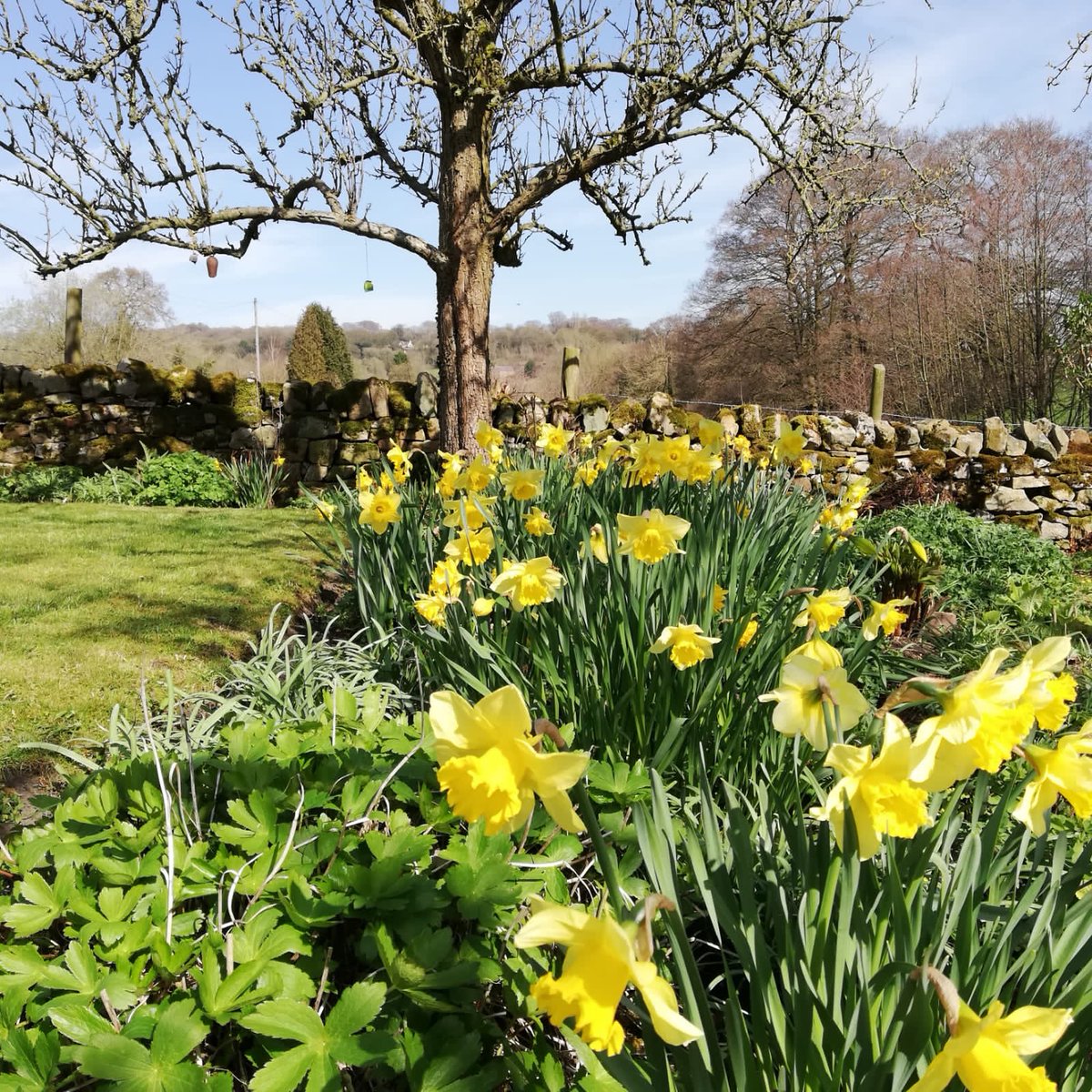 Happy Easter, happy spring 🐣