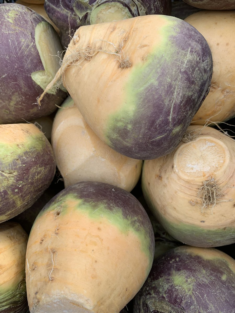 teagasc's tweet photo. Swedes are a traditional winter vegetable, thatโs now available all year round in the shops. Swedes will grow on a wide range of soils and have a low nitrogen requirement. Find out how to grow it here https://t.co/AMsAGrZZWc #TimetoSow https://t.co/F3l2TrkgmT