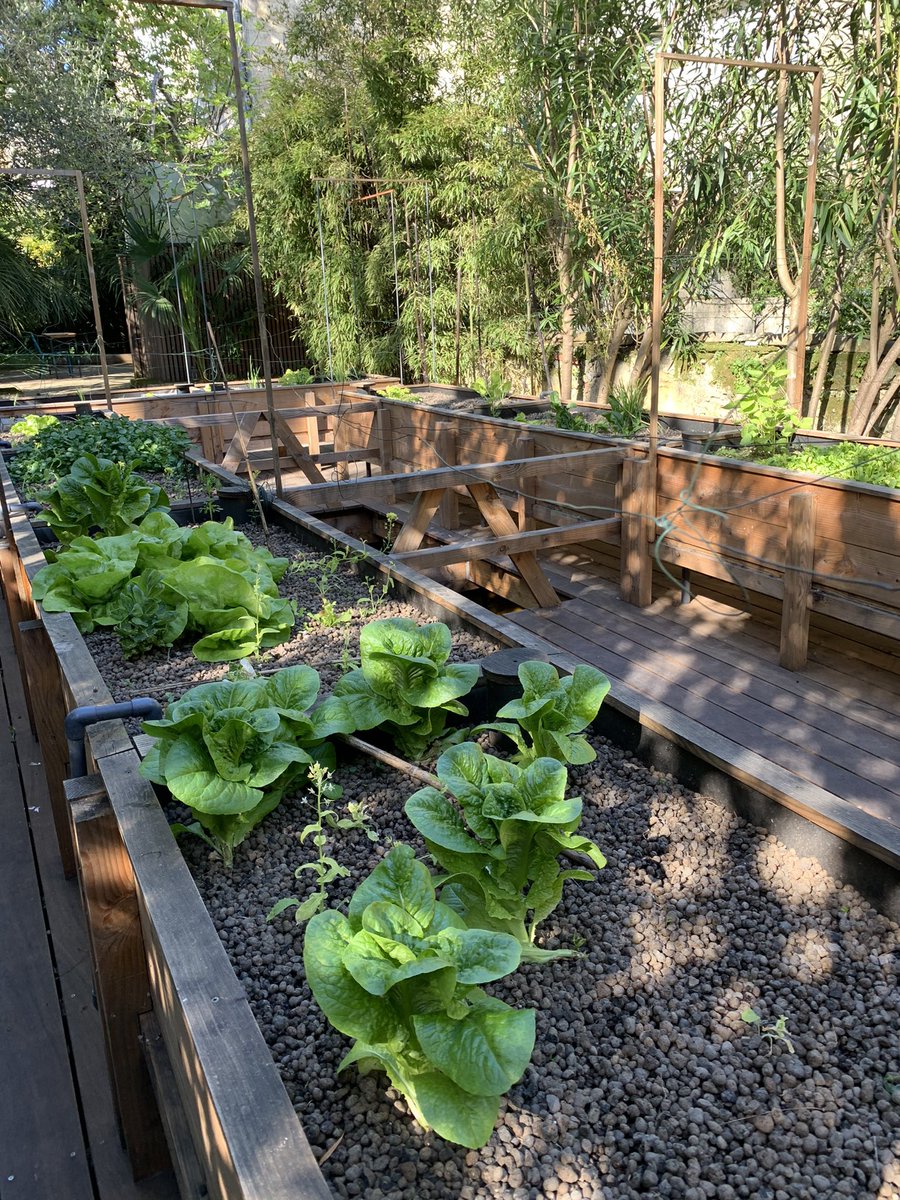 Fahmy Anne tweet media