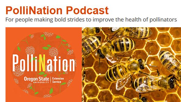 If you enjoy podcasts, #bee sure to subscribe to PolliNation. This episode from <a href="/OregonStateExt/">Oregon State Extension Service</a> tells the stories of those who are making bold strides to improve the health of #pollinators.

Check out the article by Christine Thuring in our newsletter: bit.ly/Mar2021Nwsltr.