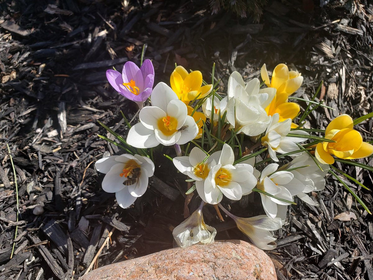 Happy Easter everyone!