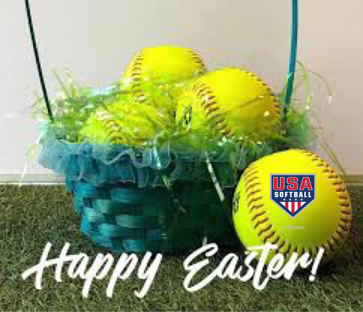 USA SOFTBALL OF ALABAMA tweet media