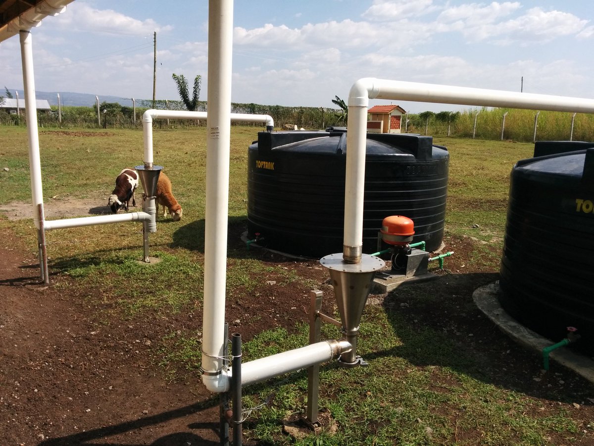 <a href="/waluwande/">Dominic WALUBENGO</a> Below is my rainwater harvesting system, complete with filters.This is a DIY and it's serving me well.