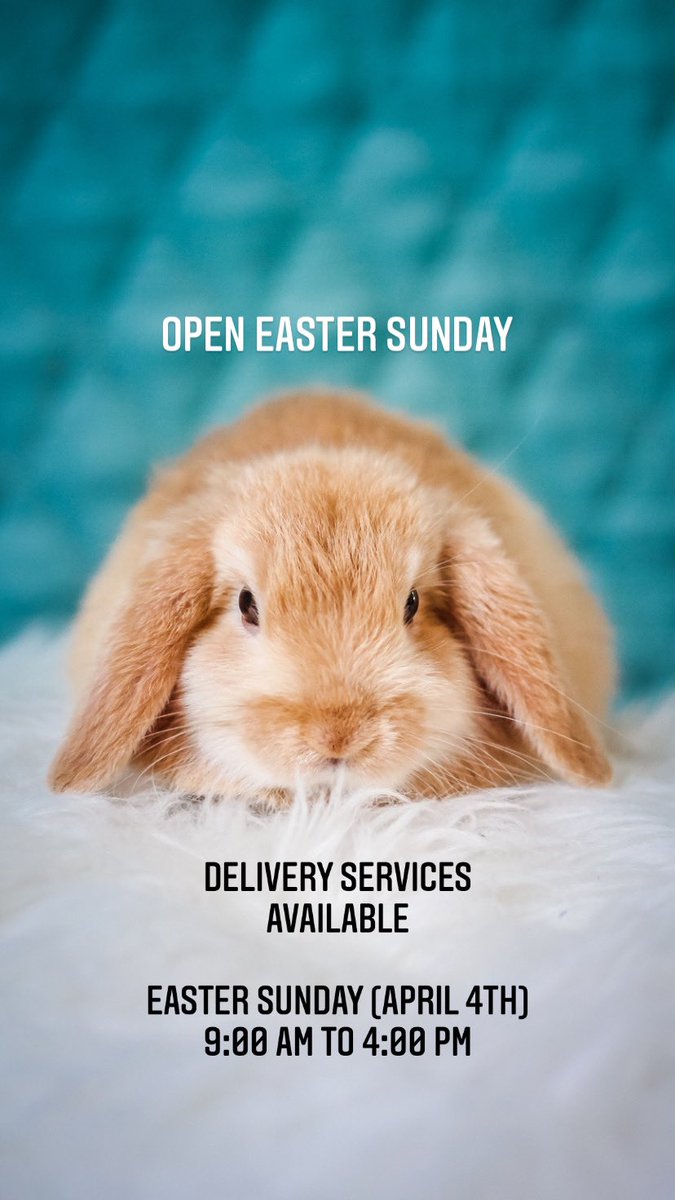 SwiftTime4's tweet image. 