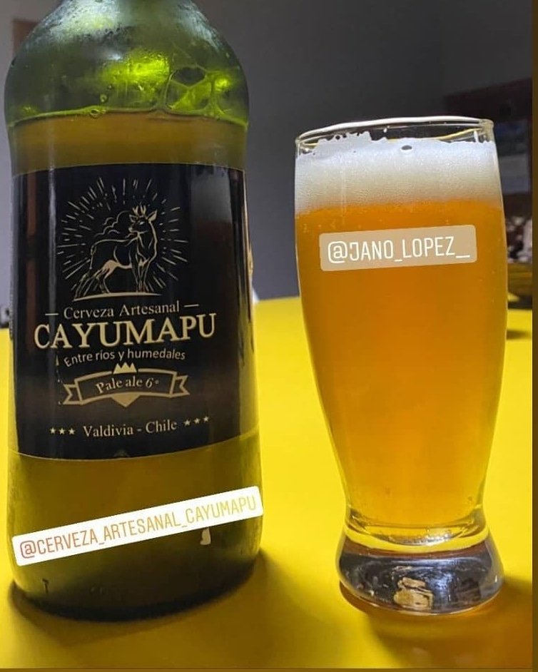 CCayumapu's tweet photo. Historia,#paleale, Una cerveza artesanal americana moderna adaptada d las Ales Pálidas Inglesas, pero reflejando ingredientes autóctonos (lúpulo, malta, levadura y agua).Previa a la explosión en popularidad d las IPA, fue tradicionalmente la cerveza artesanal americana + conocida https://t.co/bBCMF9ugRp