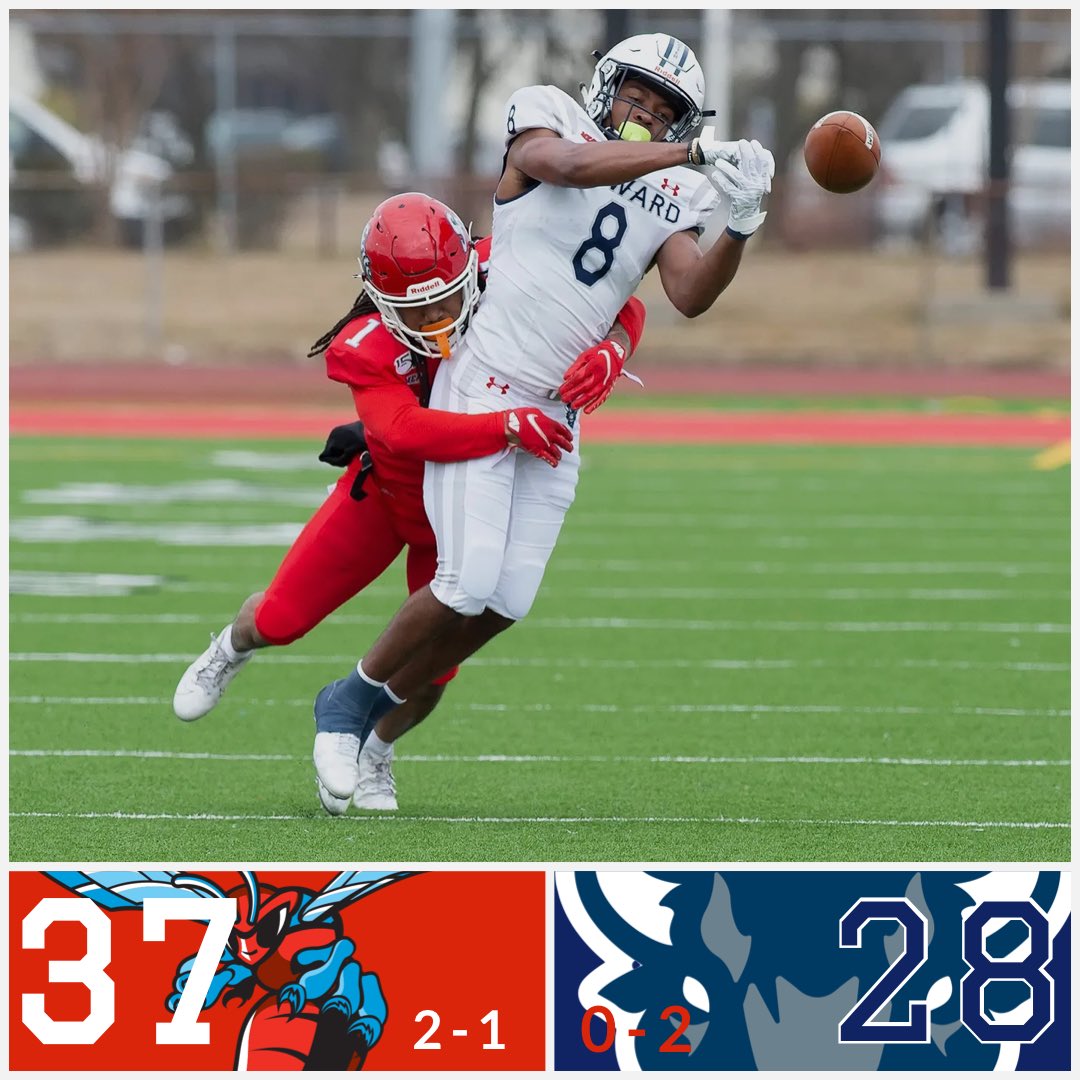 HORNETS WIN!!!